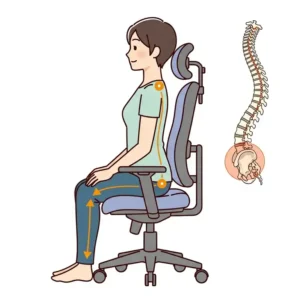 Illustration demonstrating correct sitting posture in a chiropractor recommended office chair, emphasizing alignment and weight distribution.