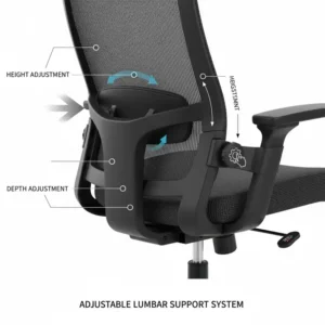 Close-up diagram showing the adjustable lumbar support mechanism on a chair for lower back comfort.